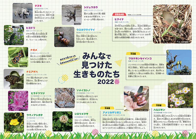 みんなで見つけた生きものたち2022春