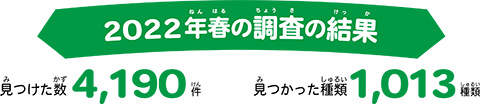 2022年春の調査結果