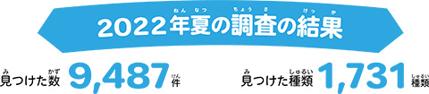 2022年夏の調査結果