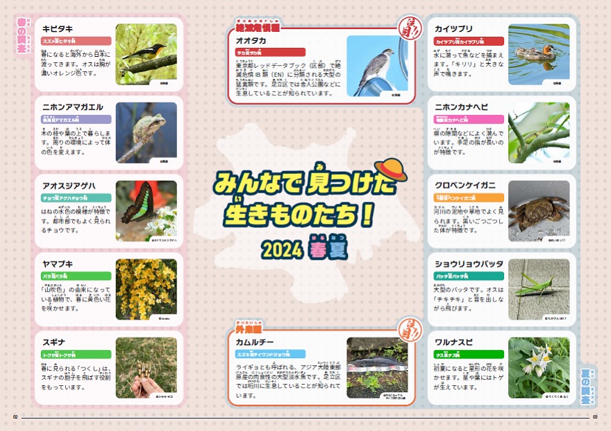 みんなで見つけた生きものたち2024春夏