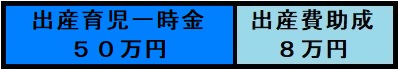 一人出産、出産育児一時金50万円、出産費助成8万円