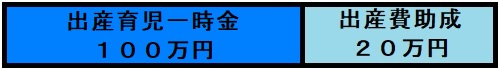 双子出産、出産育児一時金100万円、出産費助成20万円
