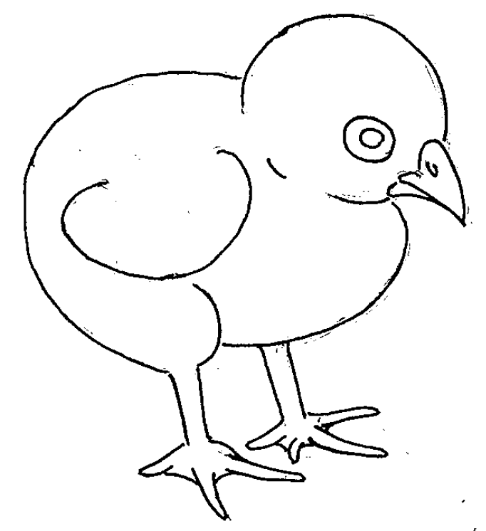 ヒヨコ