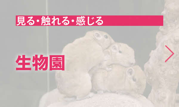 多種多様な生きものに出会おう！生物園が子どもたちに大人気のワケ