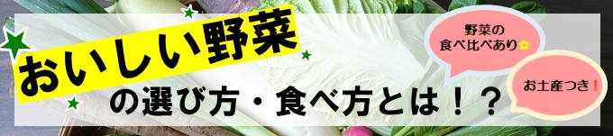 野菜の選び方教室見出し