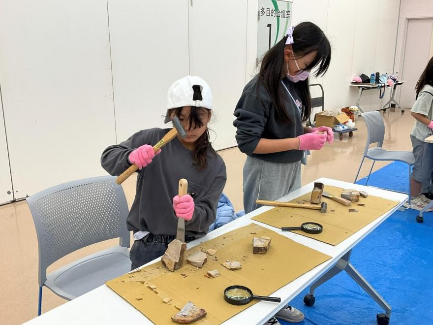 化石を探そう！