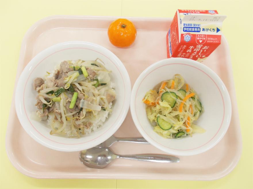 ねぎ塩豚丼
