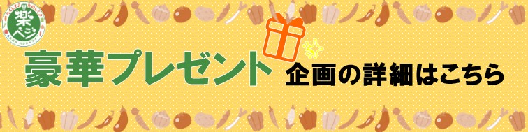 見出しプレゼント企画