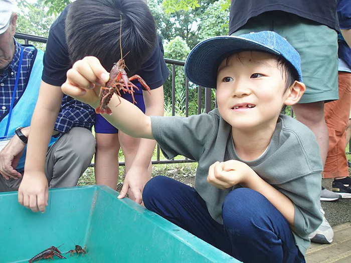 「自然のあそび屋台」のイメージ画像
