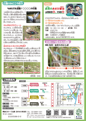 「桑袋ビオトープ公園」ニュースレター6月号うら