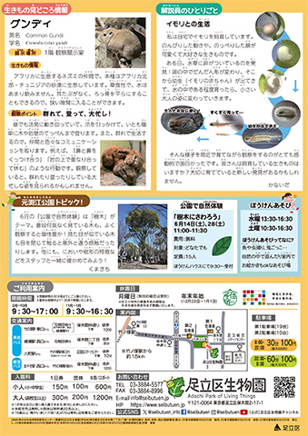 「生物園」ニュースレター6月号うら