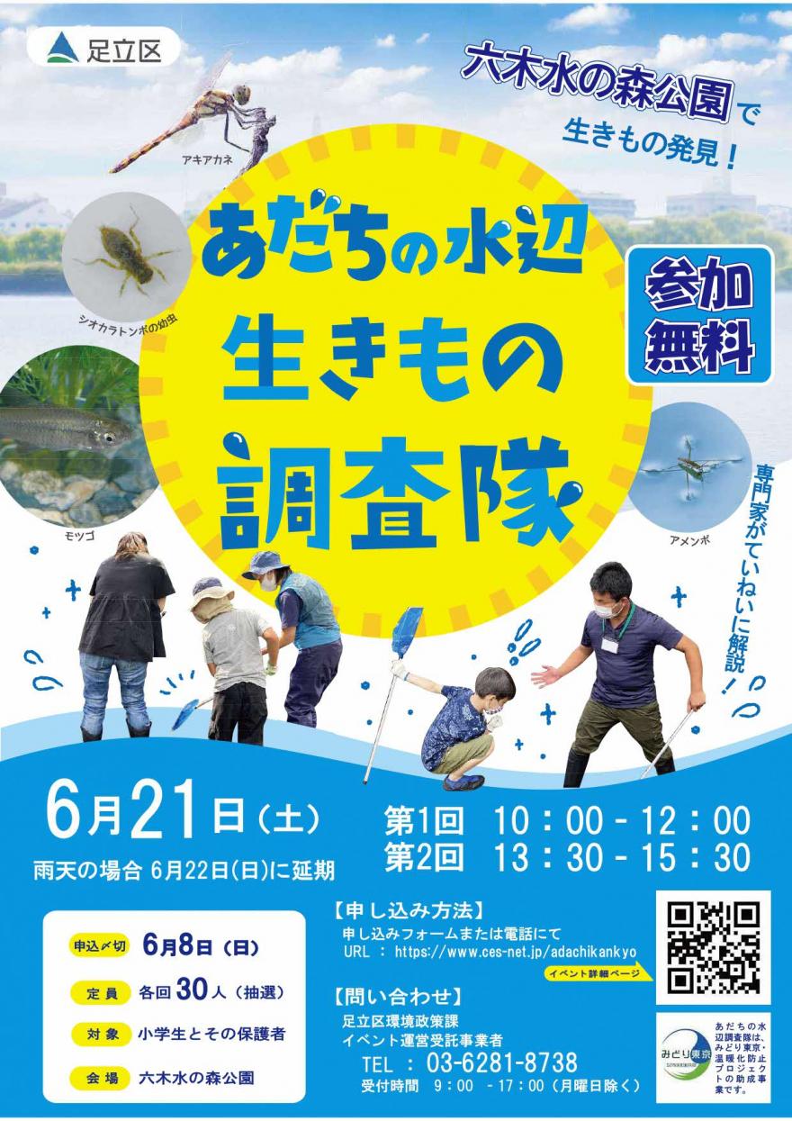 チラシ