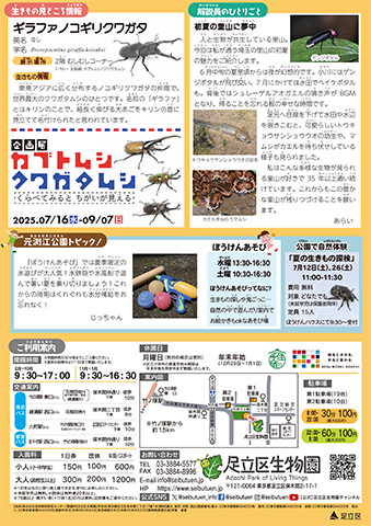 「生物園」ニュースレター7月号うら