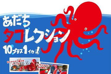 タコレクションの画像