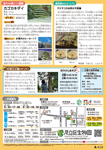 「生物園」ニュースレター8月号うら