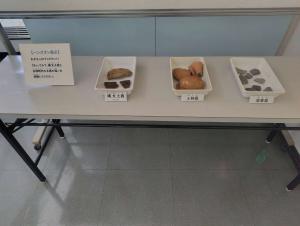 触ることができる土器