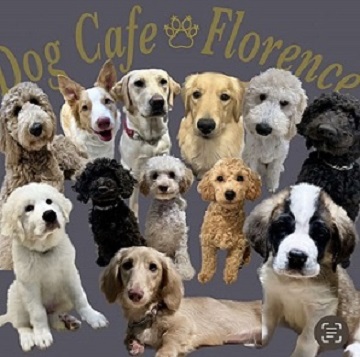 犬がいっぱいいる写真