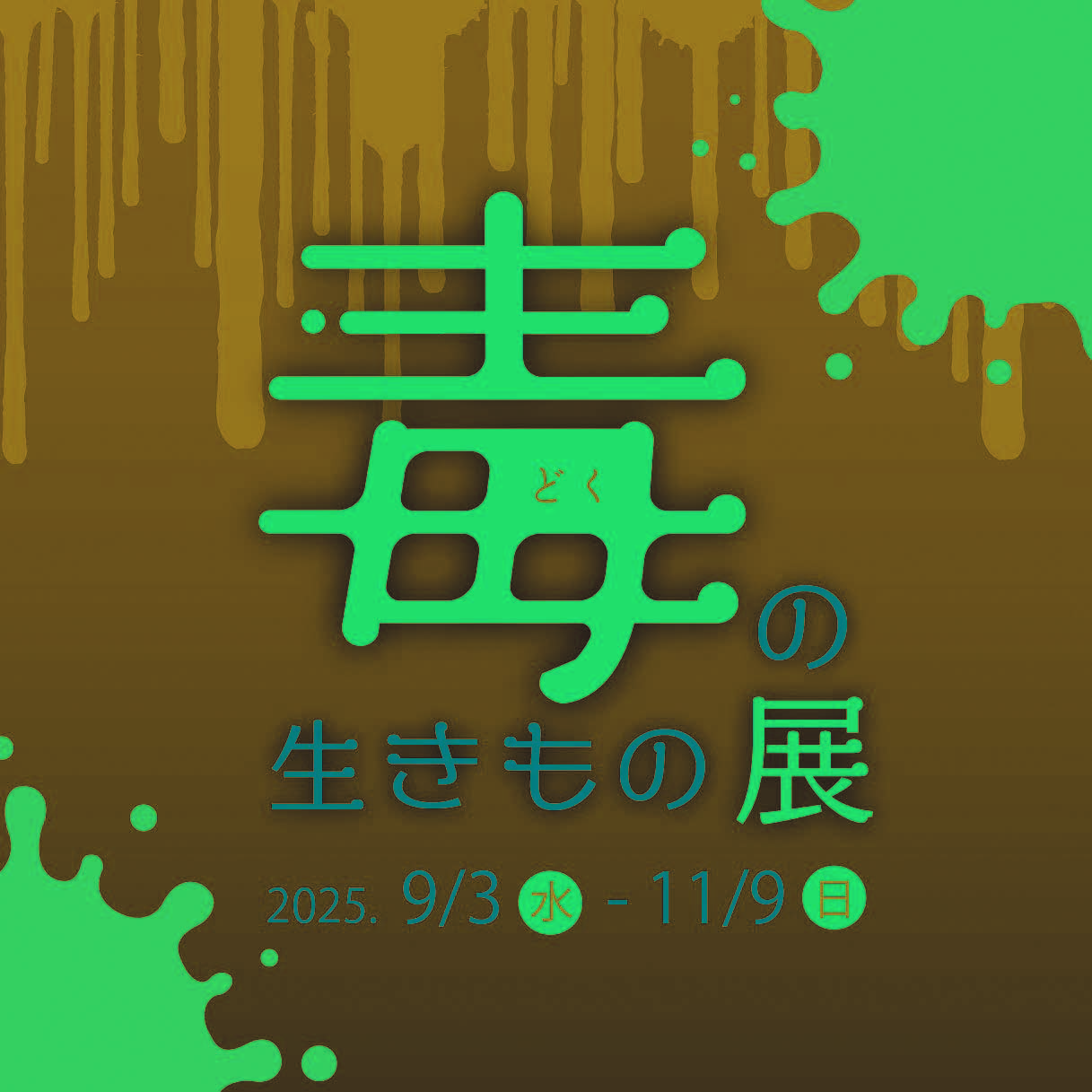 「毒の生きもの展」のイメージ