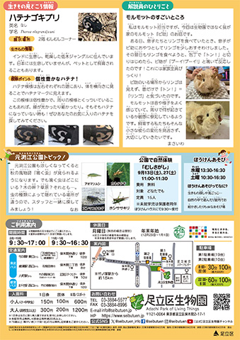 「生物園」ニュースレター9月号うら
