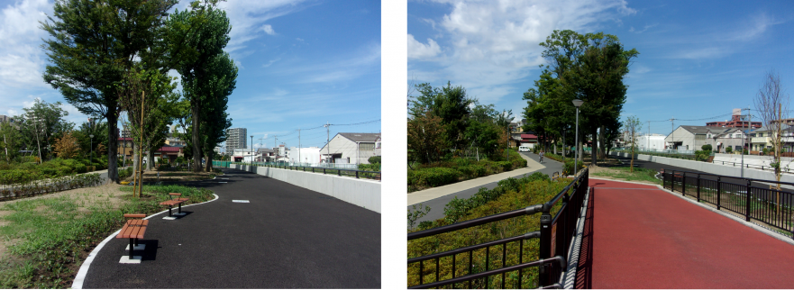 園路