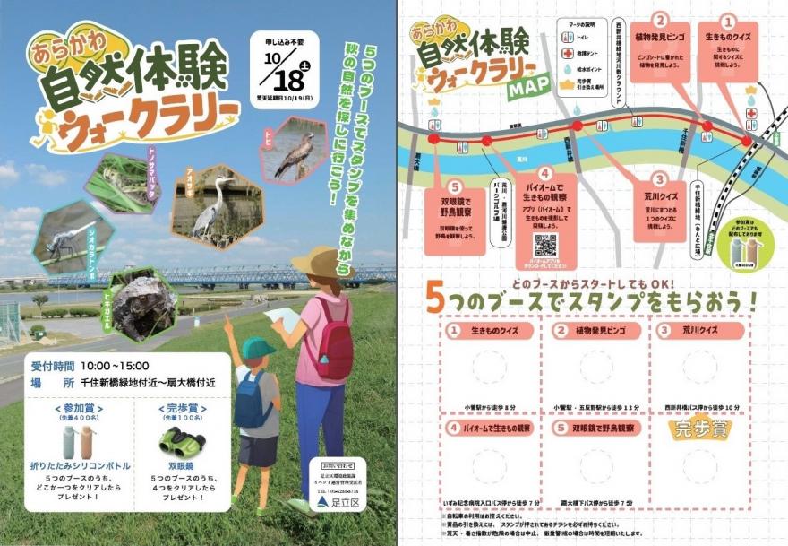 チラシ両面
