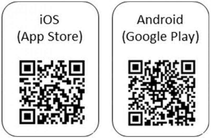 コード化点字ブロックのDL