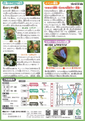 「桑袋ビオトープ公園」ニュースレター10月号うら