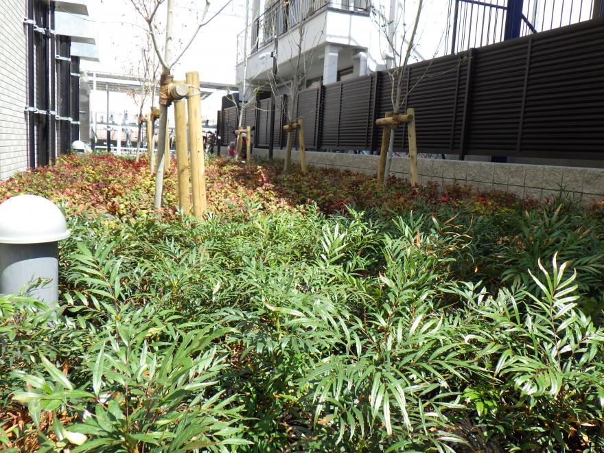 2023-253プレジオ西新井