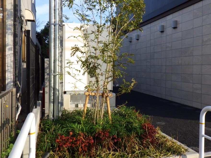 5　2024-65　ユヌ・リュミール