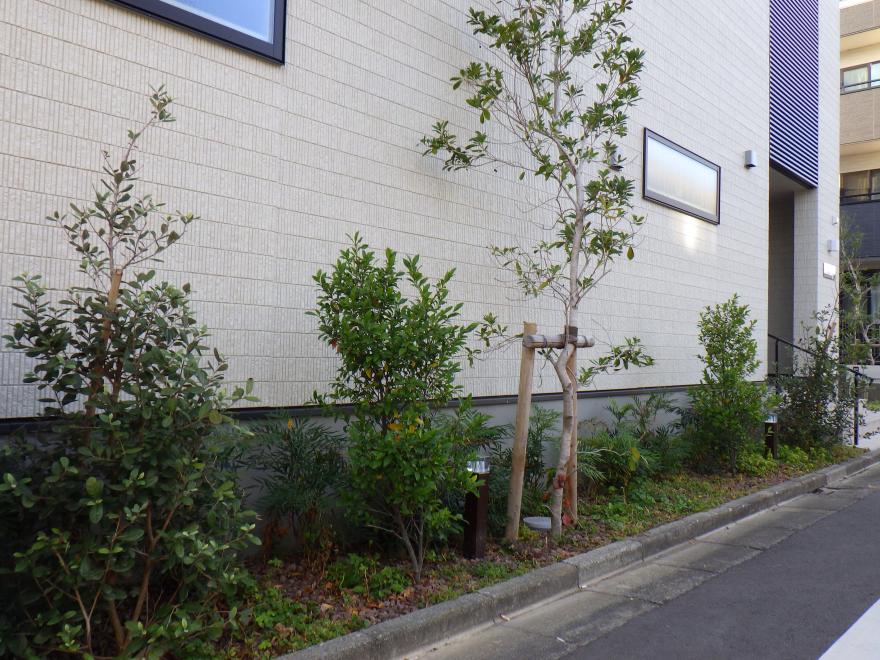 2　2024-93　Parkside Court（パークサイドコート）