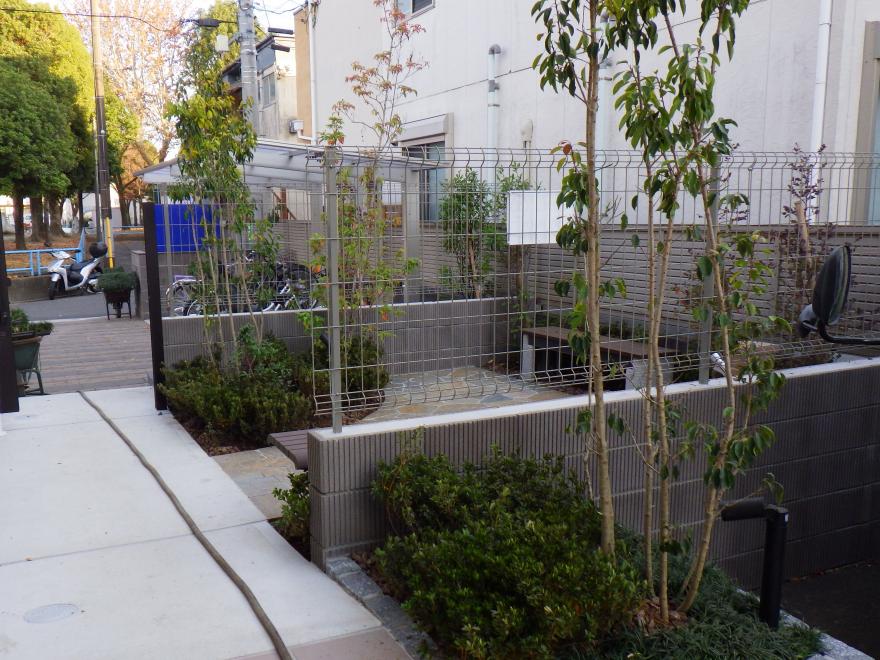 4　2025-56　フルール・デ・ダフネ