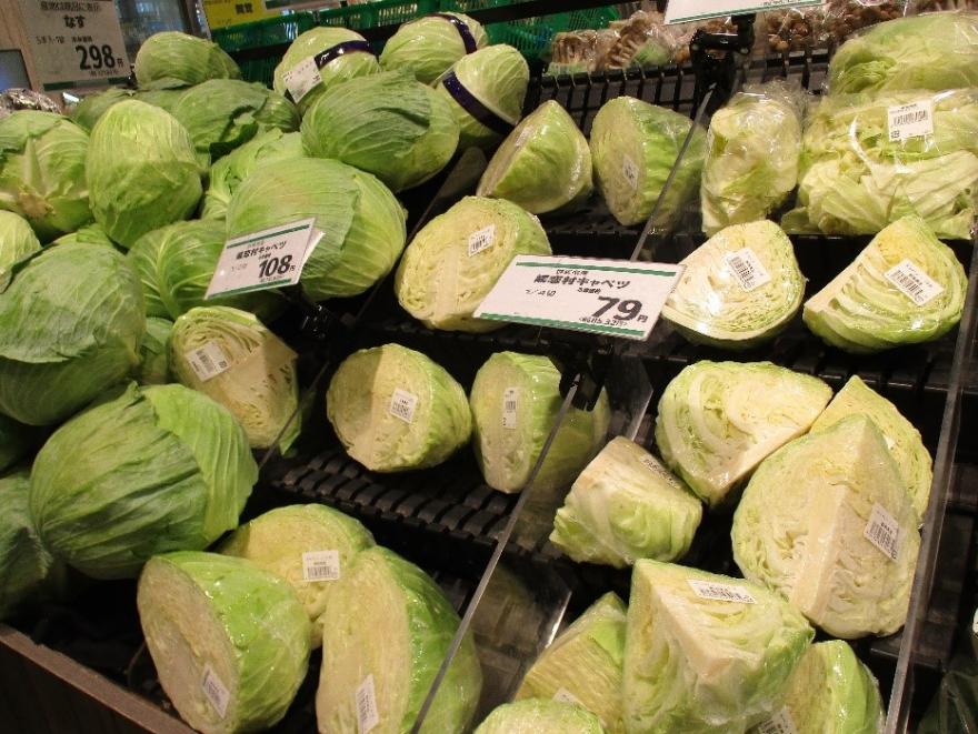 キャベツ