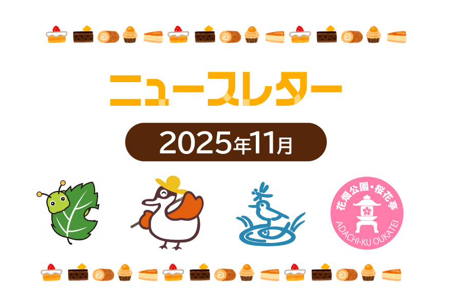 ニュースレター11月号