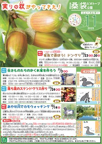「桑袋ビオトープ公園」ニュースレター11月号おもて