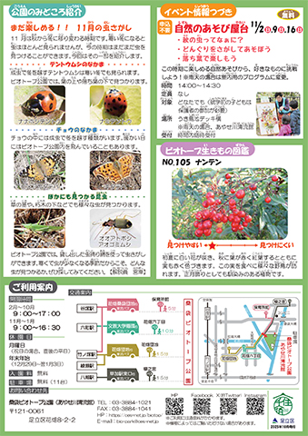 「桑袋ビオトープ公園」ニュースレター11月号うら