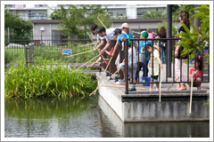 桑袋ビオトープ公園info