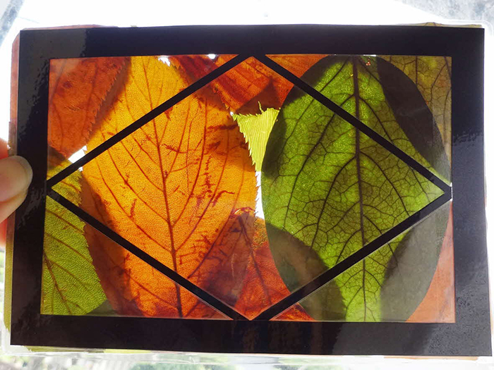 「落ち葉のステンドグラス作り」の様子