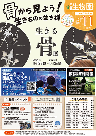 「生物園」ニュースレター11月号おもて