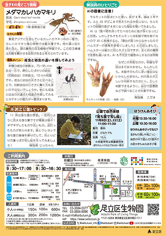 「生物園」ニュースレター11月号うら