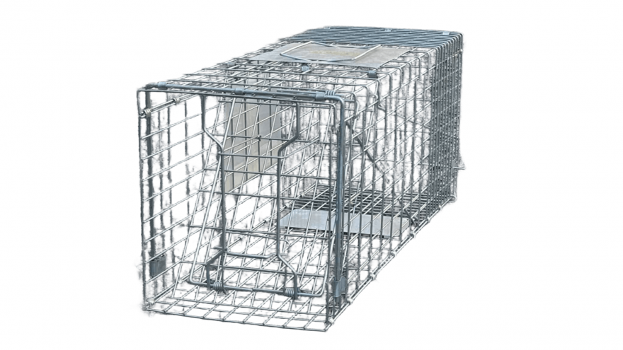 捕獲器（箱わな）の画像