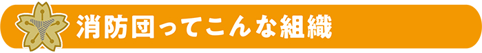 消防団ってこんな組織