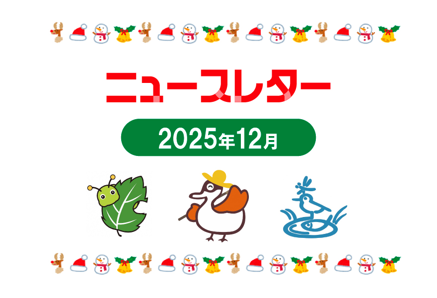 ニュースレター12月号