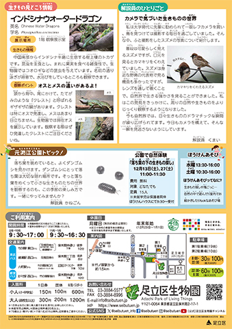 「生物園」ニュースレター12月号うら