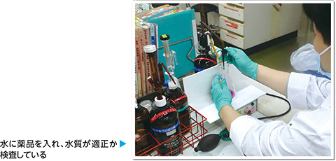 水に薬品を入れ、水質が適正か検査している