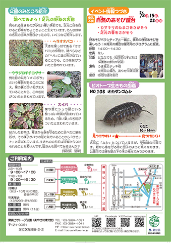 「桑袋ビオトープ公園」ニュースレター2月号うら