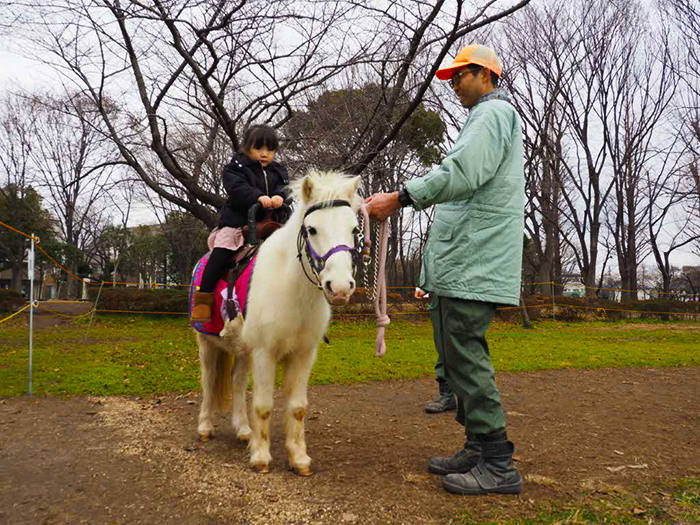 「ポニー乗馬」の様子