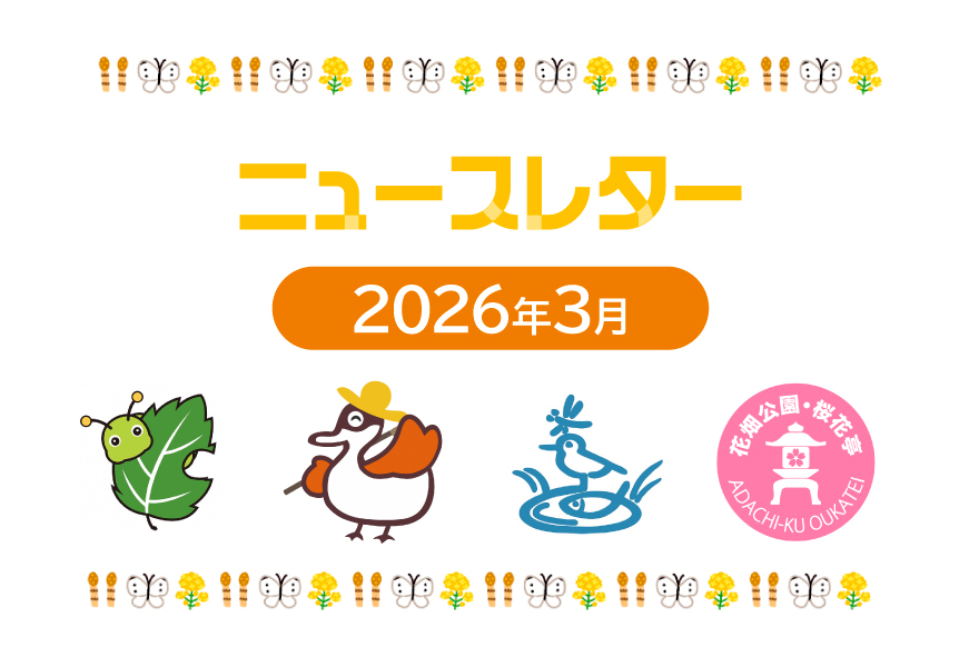 ニュースレター3月号