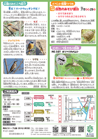 「桑袋ビオトープ公園」ニュースレター1月号うら
