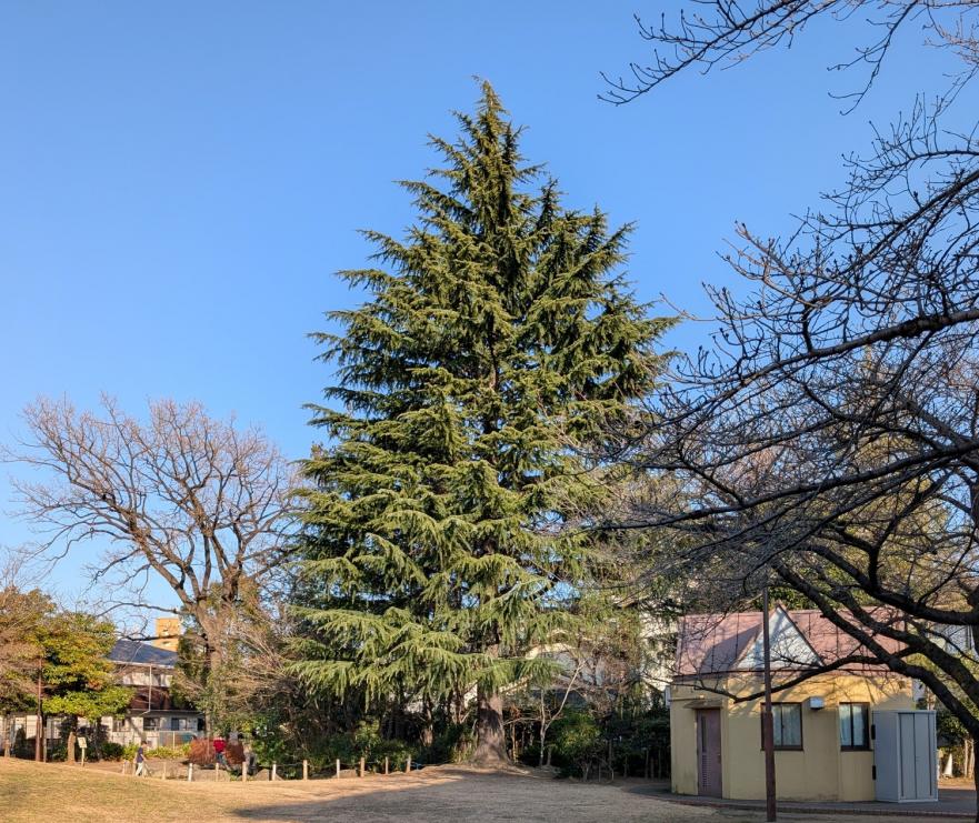 ファミリー公園