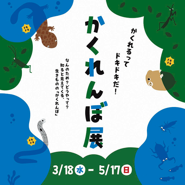 「かくれんぼ展」のイメージ